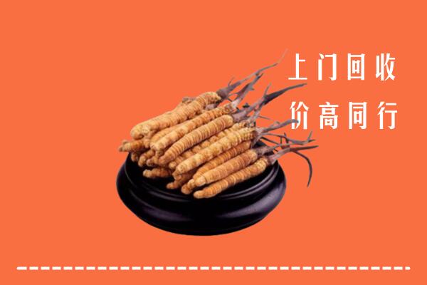 高价求购：渭南回收散虫草