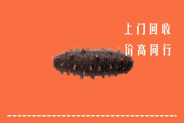 渭南高价回收海参
